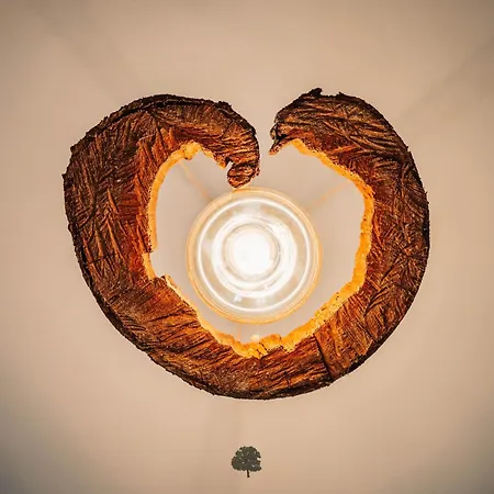 Ferienhaus Quinta Da Quinta Al São Pedro do Sul