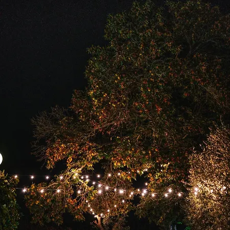 Ferienhaus Quinta Da Quinta Al *