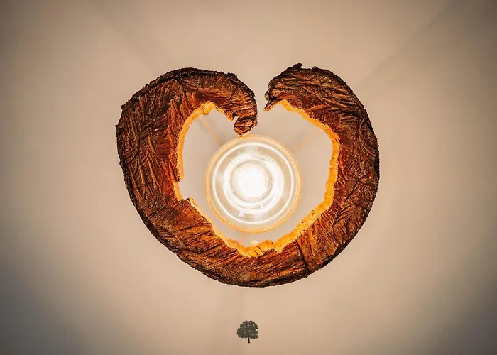 別荘 Quinta Da Quinta Al São Pedro do Sul