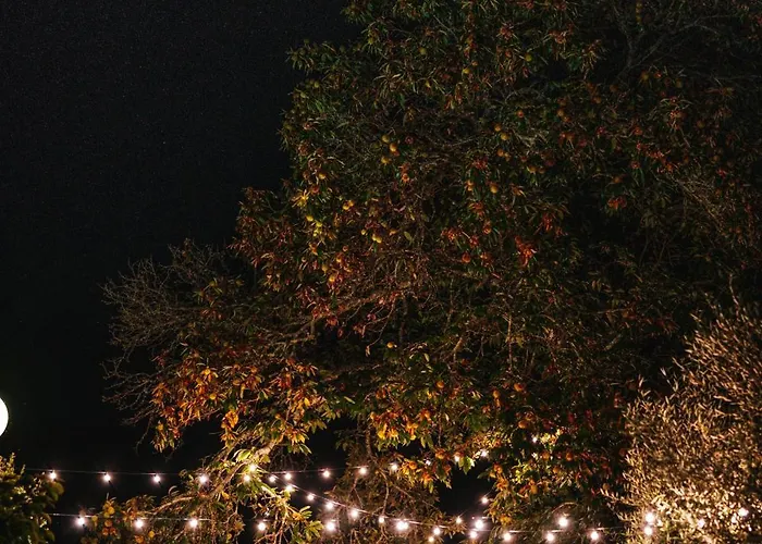 別荘 Quinta Da Quinta Al *