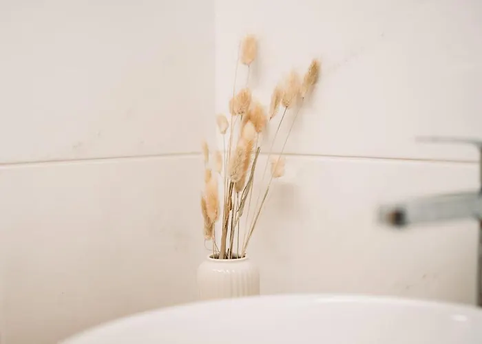 Quinta Da Quinta Al 別荘 São Pedro do Sul